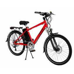 Electric bike